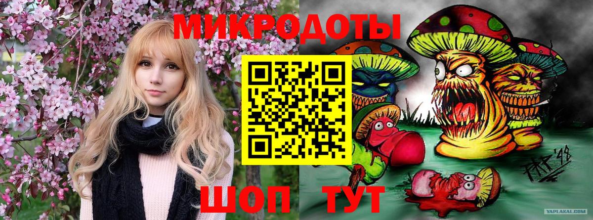 Галлюциногенные грибы Magic Shrooms Гусиноозёрск