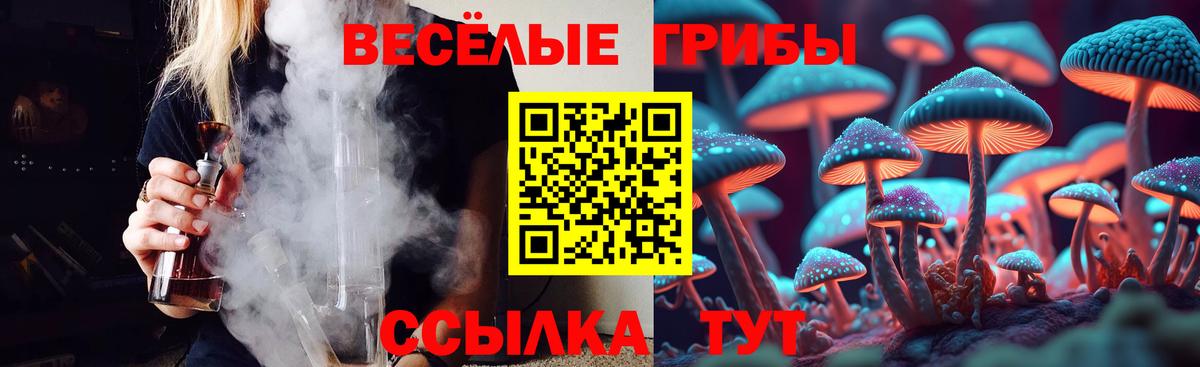 Гусиноозёрск  Галлюциногенные грибы прущие грибы  Вход с VPN 